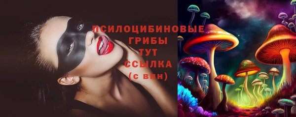 PSILOCYBIN Абинск