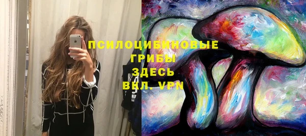 PSILOCYBIN Абинск