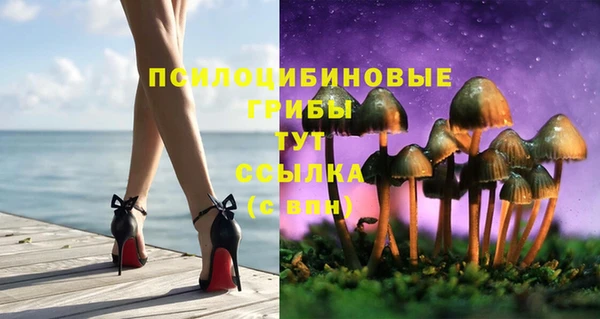 PSILOCYBIN Абинск